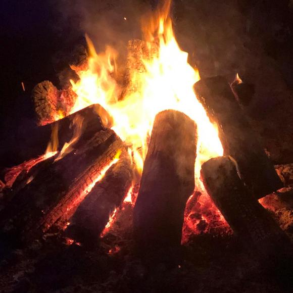 Meet your Posher, Daniel - Picture 1 of 1